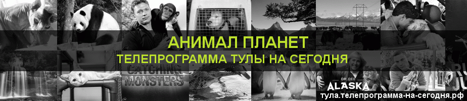 Телепрограмма на сегодня канала Анимал Планет, Тула