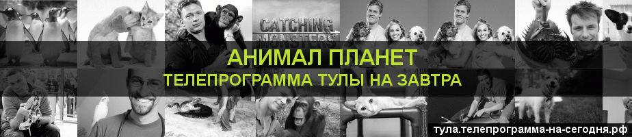 Телепрограмма на завтра канала Анимал Планет, Тула