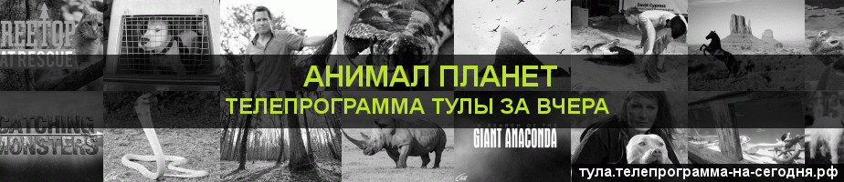 Телепрограмма за вчера канала Анимал Планет, Тула