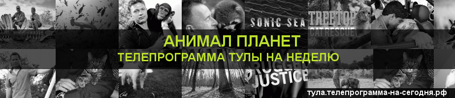Телепрограмма на неделю канала Анимал Планет, Тула